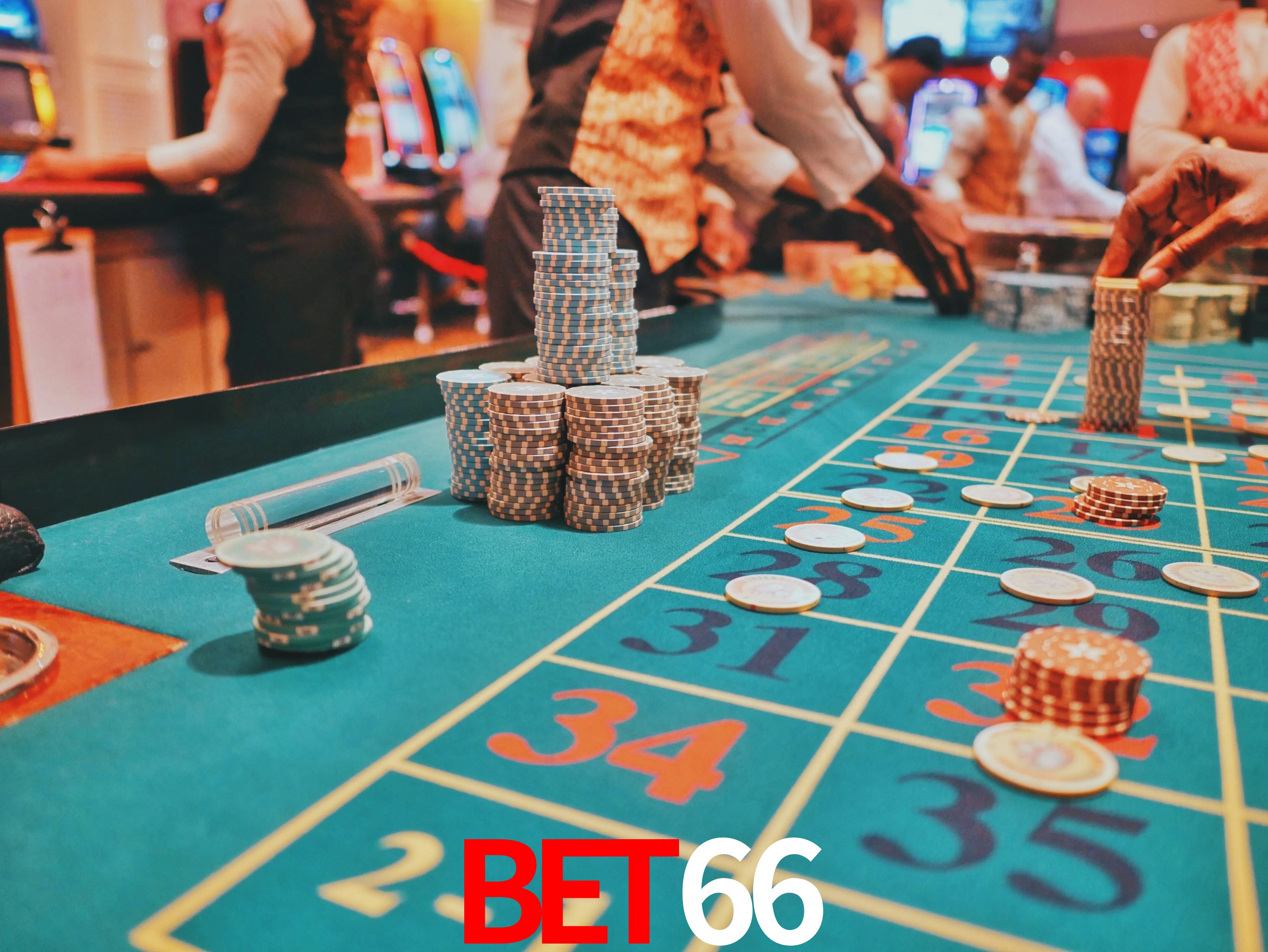Sports Statistics bet66